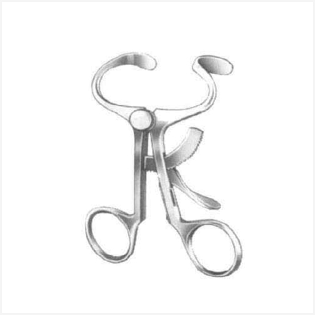 Baby-Molt Mouth Gags