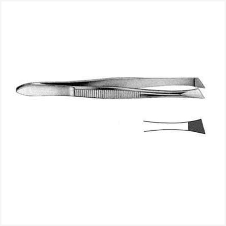 Bergh Cilia Fcps Oblique