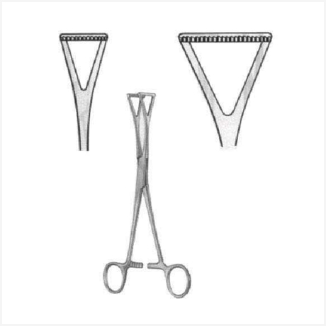 Duval Organ Grasing Forcep