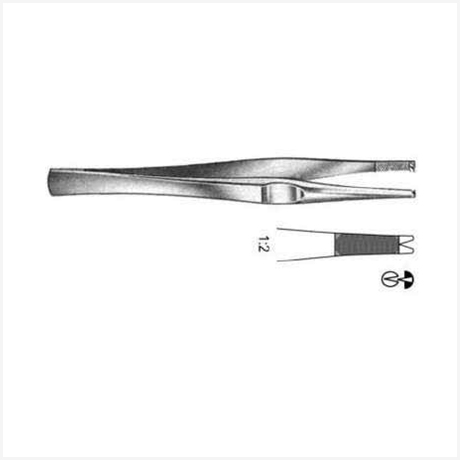 Lanes Tissue Fcps 1x2T