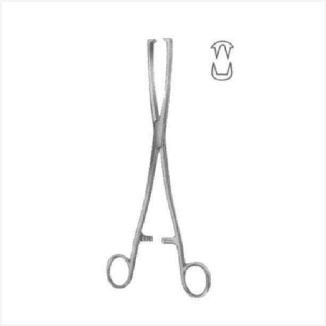 Museux Tenaculum Forcep BJ 2:2 Straight 24cm