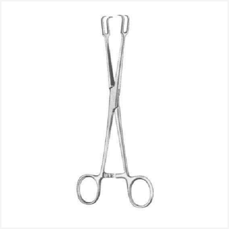 Museux Tonsil Seizing Forceps (Curved)