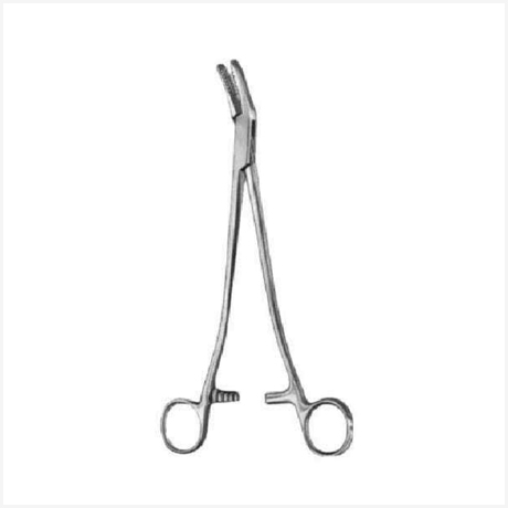 Neff Bone Holding Forceps BJ 21cm