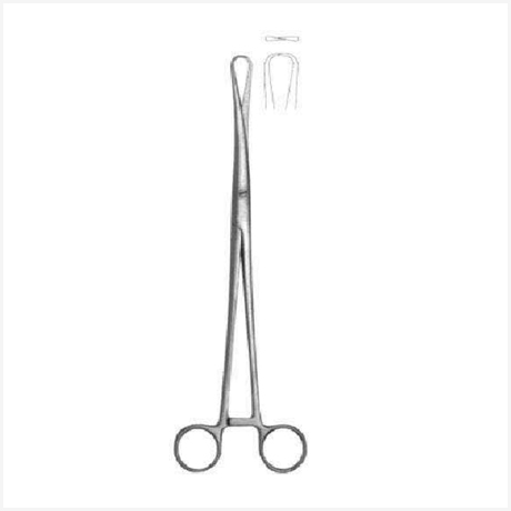 Rotunda Forcep 27cm