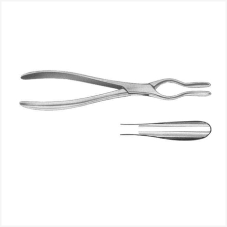 Walsham Septum Straighting Forceps 23cm