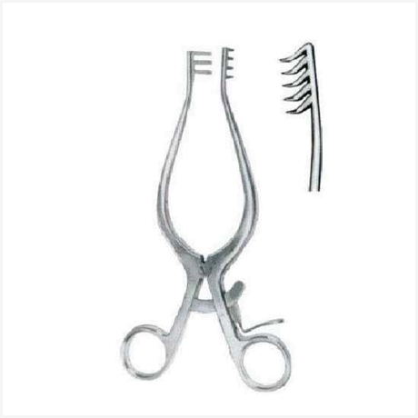 Weitlaner Rectractors 5x6 Teeth Sharp 25cm