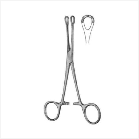 Williams Intestinal Tissue Forcep 16cm