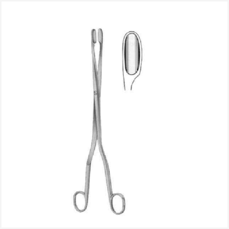 Winter Palcenta Ovum Forceps